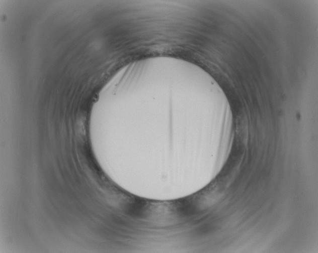 X0000060740127200512081927