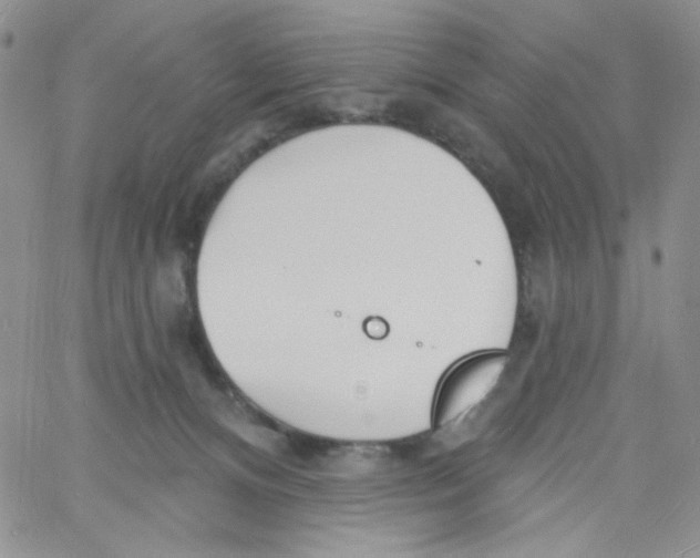 X0000060740128200512081927