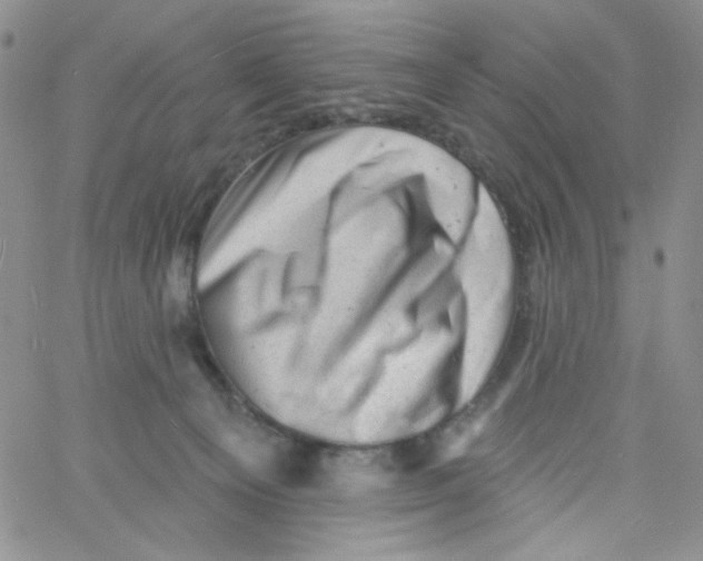 X0000060740129200512081927