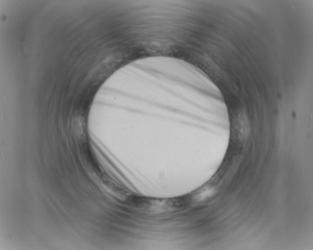 X0000060740130200512081927