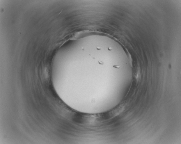 X0000060740131200512081927