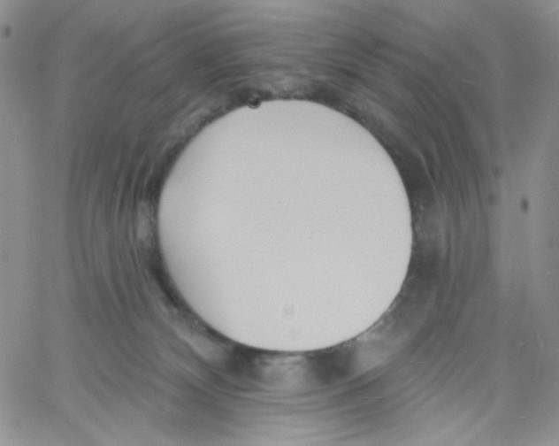 X0000060740132200512081927