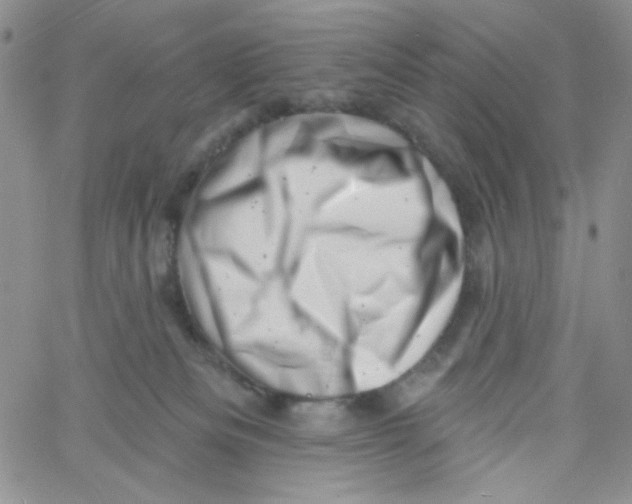 X0000060740133200512081927