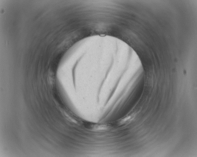 X0000060740135200512081927