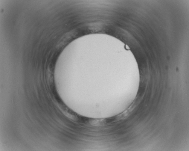 X0000060740136200512081927