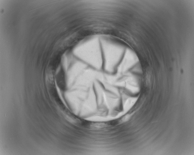 X0000060740137200512081927