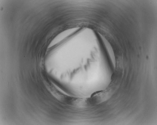 X0000060740138200512081927