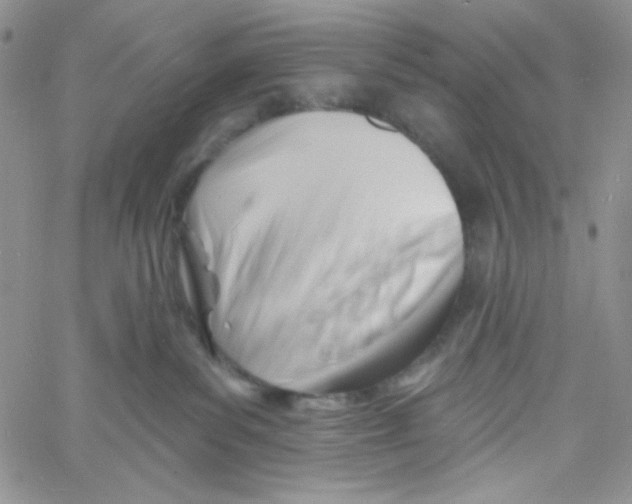 X0000060740139200512081927