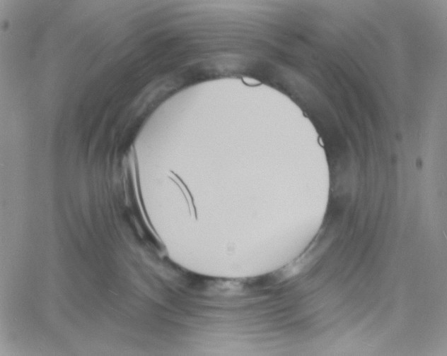 X0000060740140200512081927