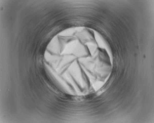 X0000060740141200512081927