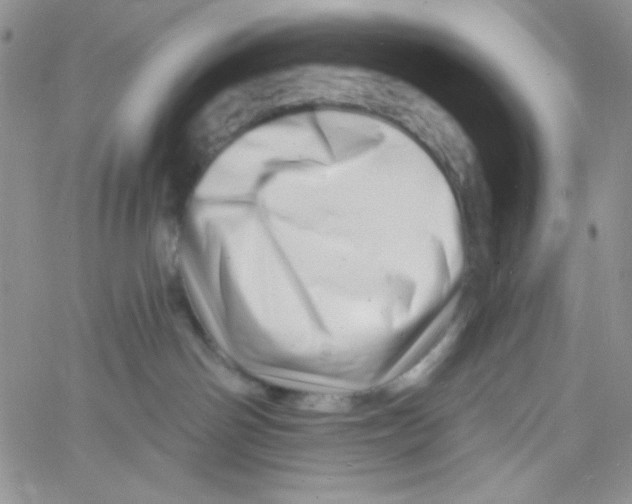 X0000060740142200512081927