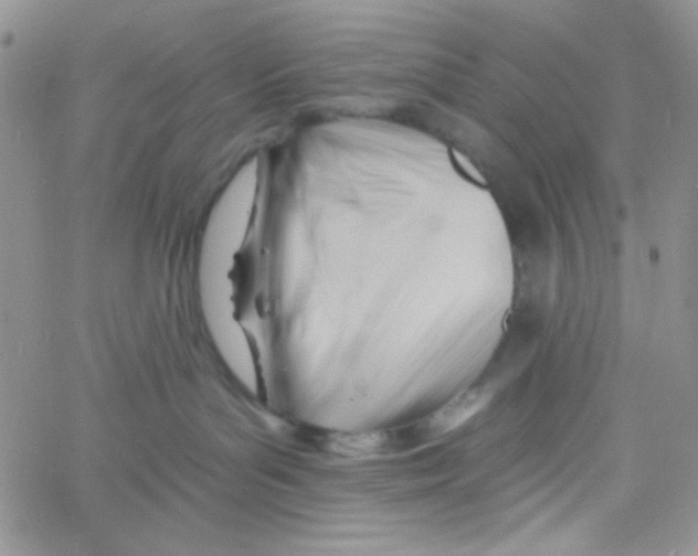 X0000060740143200512081927