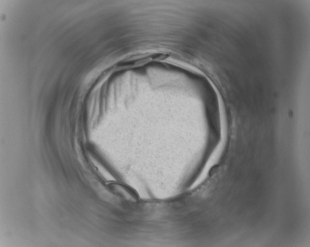 X0000060740145200512081926