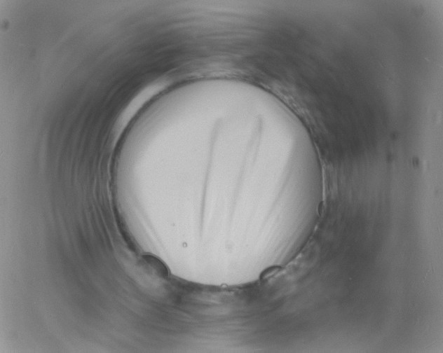 X0000060740147200512081926