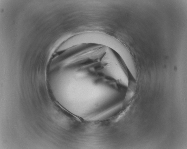 X0000060740148200512081926