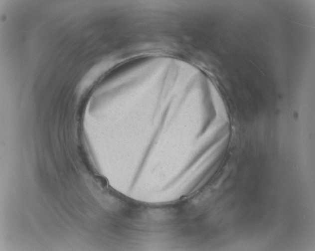 X0000060740149200512081926