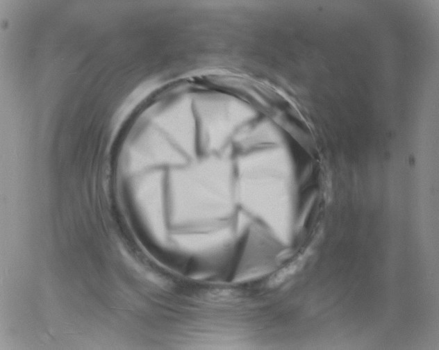 X0000060740152200512081926