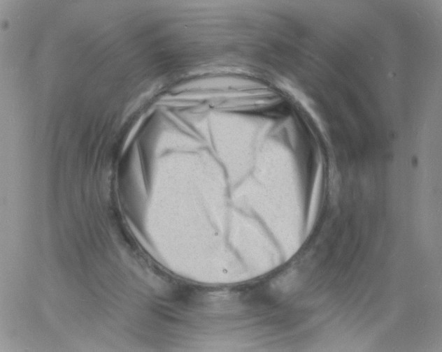 X0000060740153200512081926