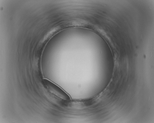 X0000060740154200512081926