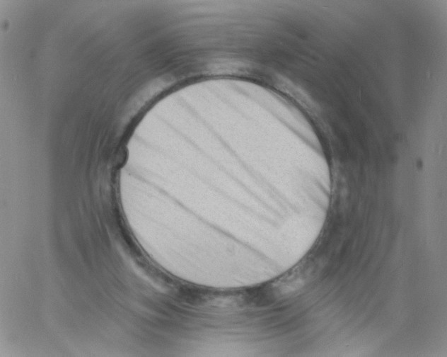 X0000060740155200512081926