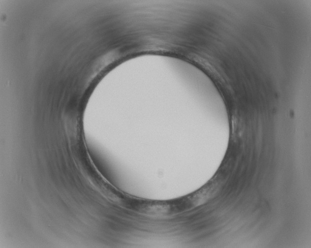 X0000060740156200512081926