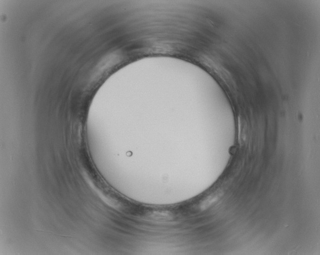 X0000060740157200512081926