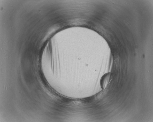 X0000060740159200512081926