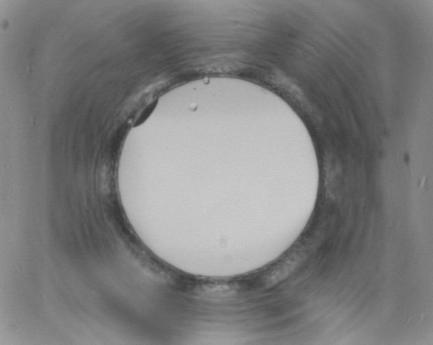 X0000060740161200512081927