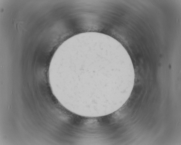 X0000060740162200512081927