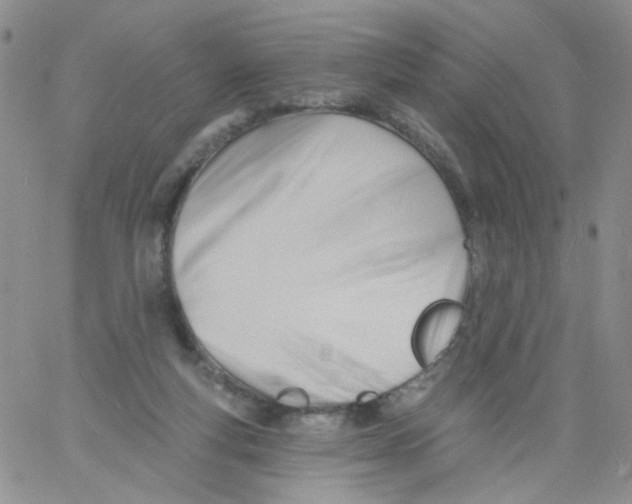 X0000060740163200512081927