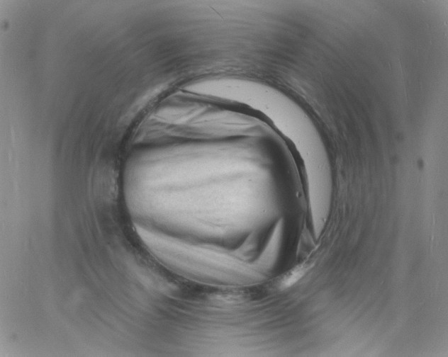 X0000060740164200512081927