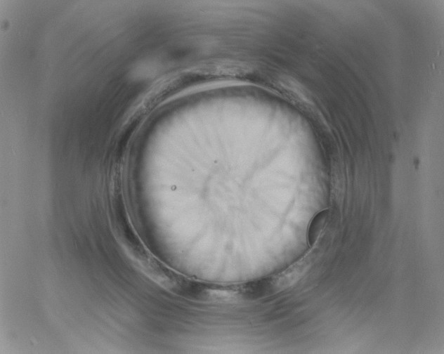 X0000060740167200512081927