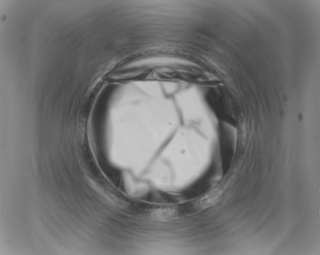 X0000060740168200512081927