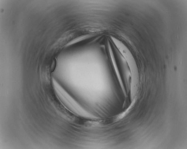 X0000060740170200512081927