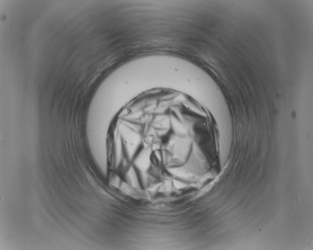 X0000060740171200512081927