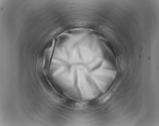 X0000060740172200512081927