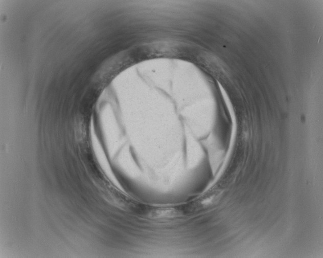 X0000060740173200512081927