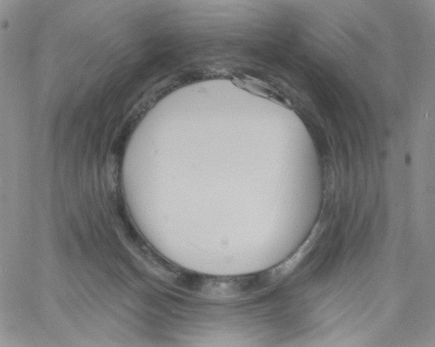 X0000060740174200512081927