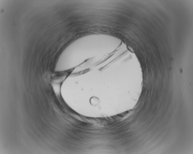 X0000060740176200512081927