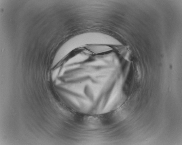 X0000060740180200512081927