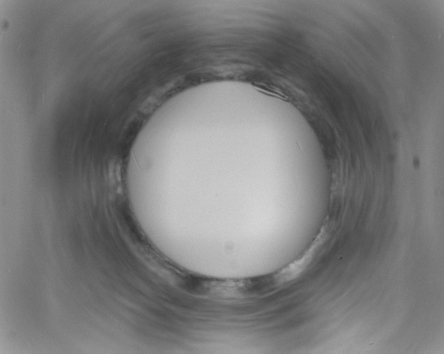 X0000060740182200512081927