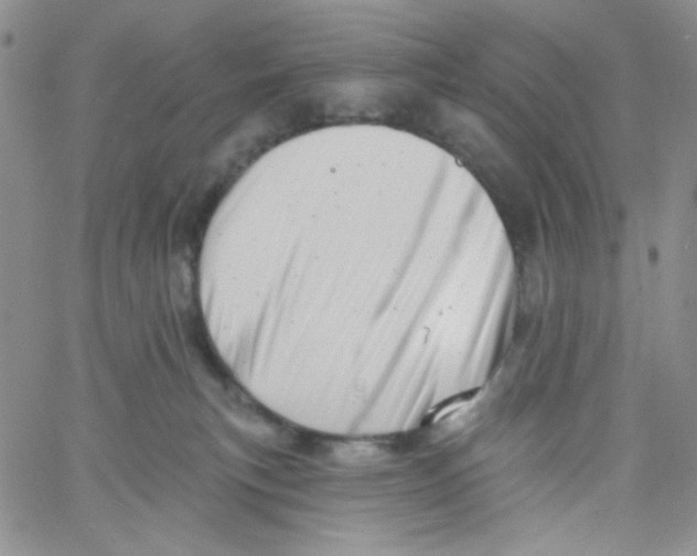 X0000060740183200512081927