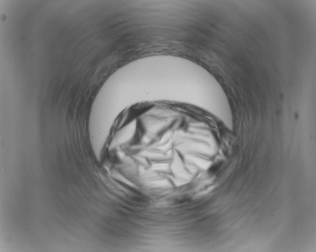 X0000060740185200512081927