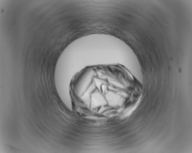 X0000060740186200512081927