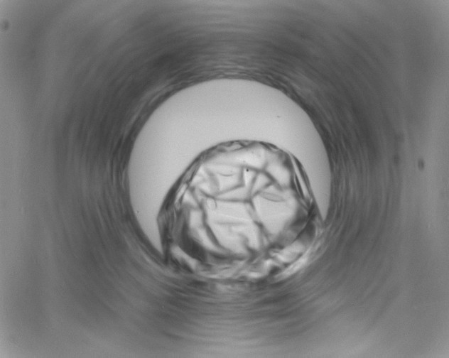 X0000060740188200512081927