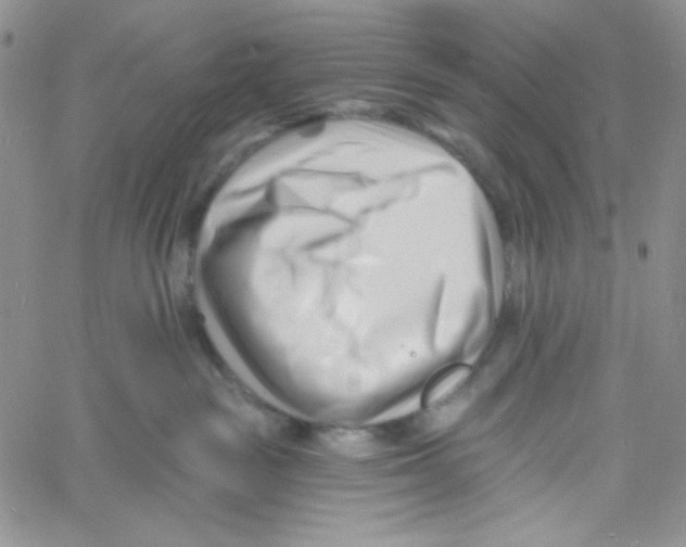 X0000060740189200512081927