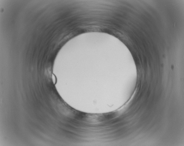 X0000060740190200512081927