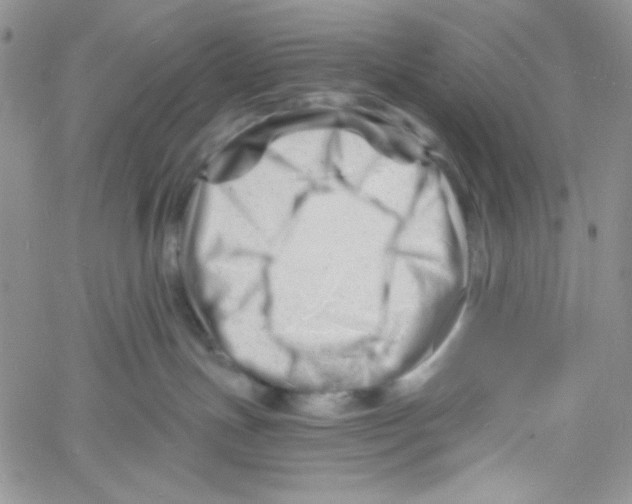 X0000060740191200512081927