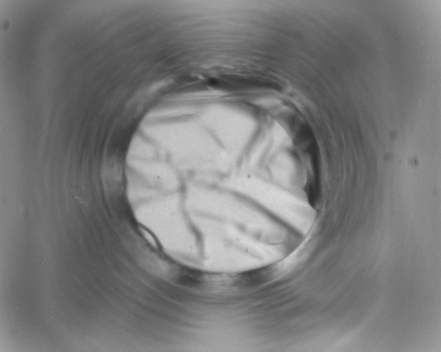 X0000060740192200512081927