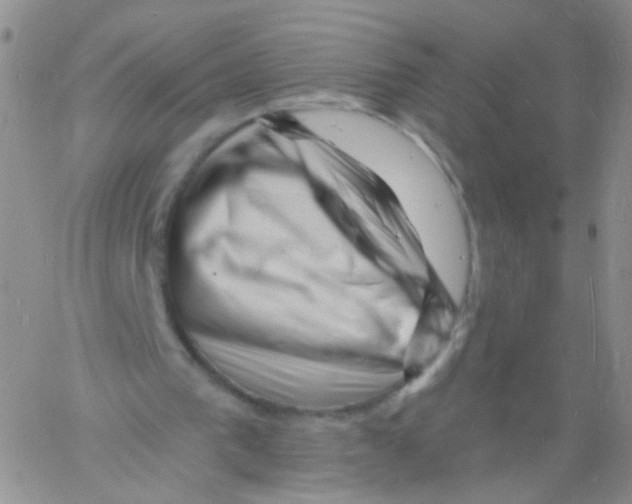 X0000060740193200512081926